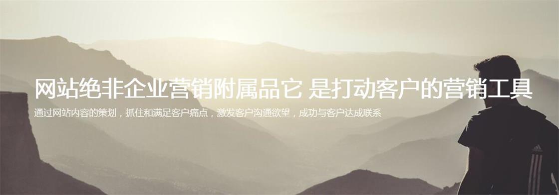 河东中山门网站制作公司