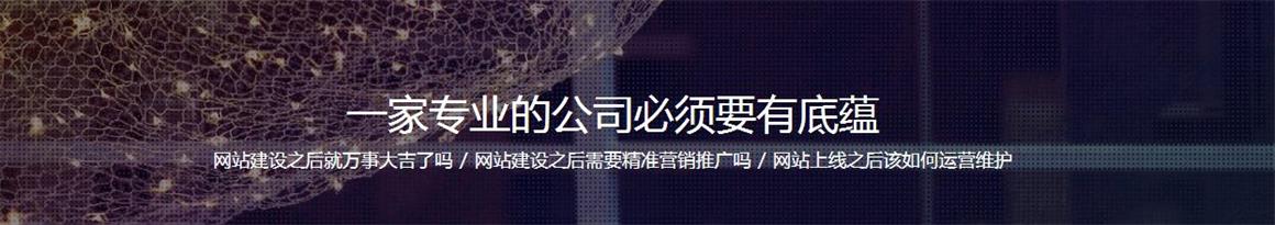 东丽湖网站制作